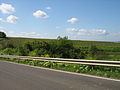 Landschaft in Rheinhessen