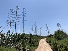 Marsaskala - unknown roads lead to beautiful destinations.jpg