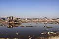 海水に浸った仙台平野沿岸部の水田（2011年4月6日、宮城県名取市）