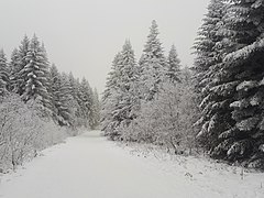 Piste du domaine.