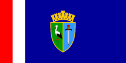 Flag of Sisak-Moslavina County.png