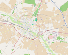 Mapa konturowa Kutna, w centrum znajduje się punkt z opisem „Łąkoszyn”