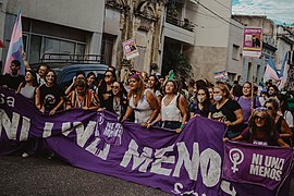 Marcha 8M 2022 titi nicola periodicas 08.jpg