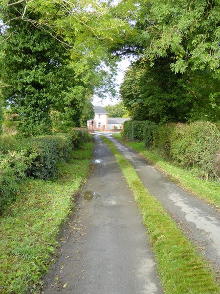 File:Country lane at Derrynure - geograph.org.uk - 5573362.jpg