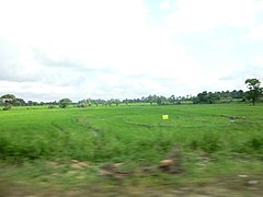 Polonnaruwa, Sri Lanka - panoramio (55).jpg