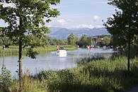 Alter Rhein bei Altenrhein