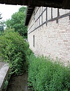 Greußen, Ziegenhof Peter, der Mühlgraben-2.jpg