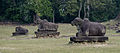 Nandi-Bullen vor dem Preah Ko-Tempel, Siem Reap, Kambodscha (9. Jh.)