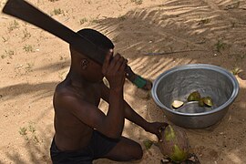 Un enfant coupant un coco frais à la plage de Grand Popo au Bénin 01.jpg