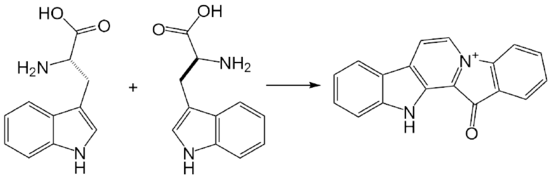 Biosynthesis of fascaplysin.png