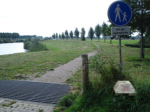 Voetpad op de dijk van het Maaswaalkanaal