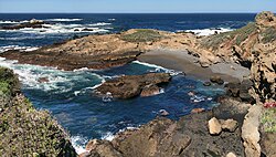 Riserva naturale statale di Point Lobos