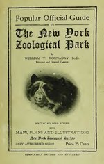 Thumbnail for File:Popular official guide to the New York Zoological Park (IA cu31924094774050).pdf