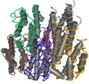 Diagram of human interferon-α