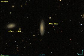 Image illustrative de l’article NGC 5202