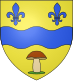 Coat of arms of Vidou