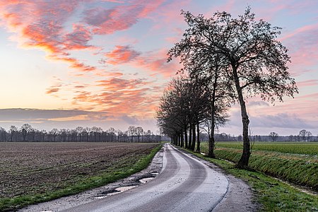 Dülmen, Merfeld, Feldweg am Mühlenbach (2021)