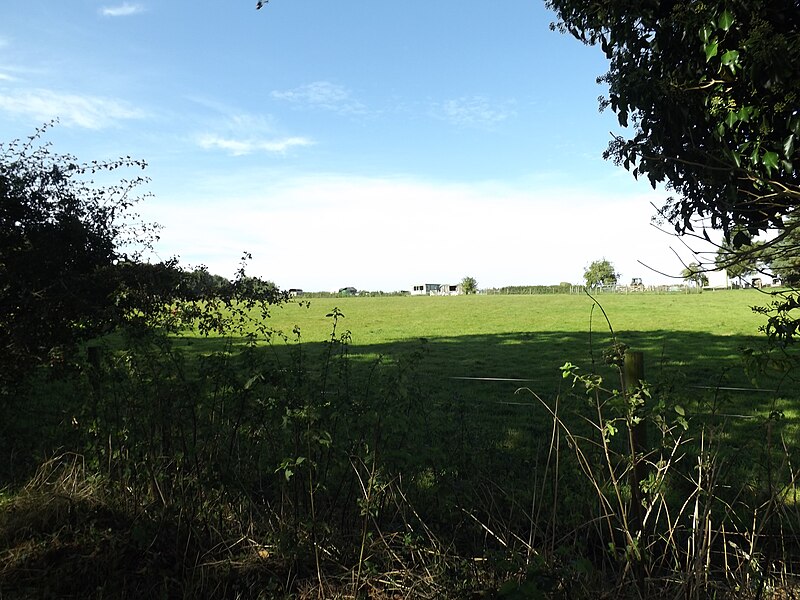 File:Field at Rusca Farm - geograph.org.uk - 5171414.jpg