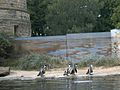 Humboldt-Pinguine, Tierpark Bochum