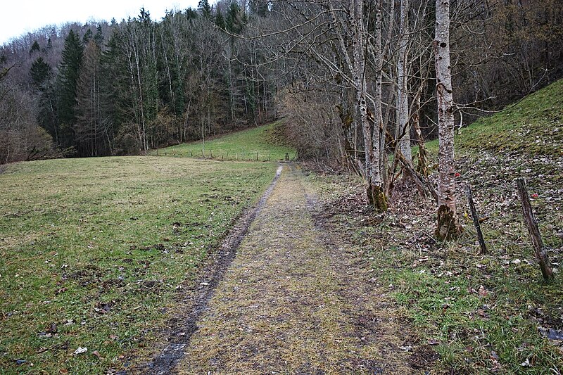 File:Old Passwang road at Erschwil 2020 continued.jpg