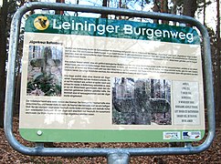 Leininger Burgenweg