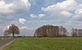 Brinkerhook, vue sur l'hameau