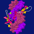 Un fragmento del factor de transcripción TFIIIA con tres motivos dedo de zinc consecutivos, unido a un segmento de ADN.