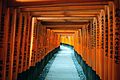 Fushimi Inari-taisha.