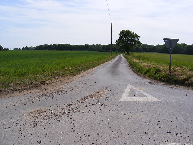 File:Fir Lane - geograph.org.uk - 2429508.jpg