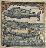 16th-century woodcut by Johannes Regiomontanus