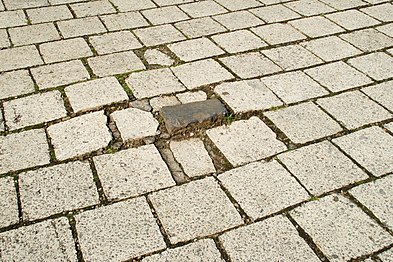 Le « pavé sacré » ramené de Leuven.