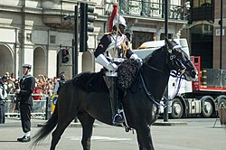 2015年國會開幕大典，一名藍軍及皇家騎兵團騎兵正在街上騎行。與近衛騎兵團不同，藍軍及皇家騎兵團的頭盔上插有紅色羽毛，並穿著深藍色的制服外衣。