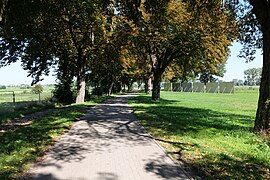 Avenue in Malchin 2022-09-08 01.jpg