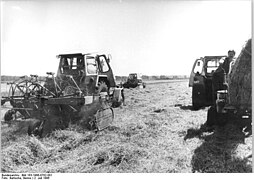 Bundesarchiv Bild 183-1986-0702-001, LPG Malchin, Heuernte.jpg