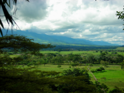 Vy över Llanos i Colombia.