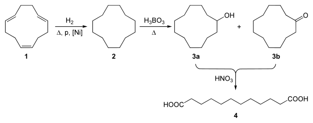 Synthesis of 1,12-dodecanedioic acid