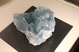 Muséum de Nantes - 007 - Fluorite (Alban, Tarn, France).jpg