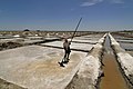 Worker working at Salt Pans in Marakkanam, Tamil Nadu