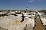 En saltpannaarbetare i en saltavdunstningdamm i Tamil Nadu, Indien.