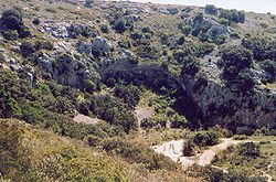 Paysage de garrigue