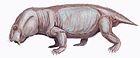 Dicynodontoides recurvidens