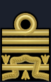 Distintivo per paramano di ammiraglio di squadra (o ammiraglio ispettore capo per i corpi tecnici) della Marina Militare