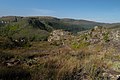 Campos gerais em Tibagi.