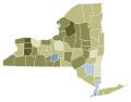 NY 2021 election proposals #1