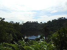 Forêt tropicale et toit d'une maison au bord d'un étang.