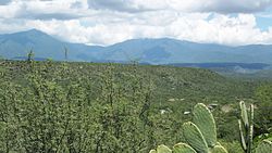 The Sierra Madre Oriental