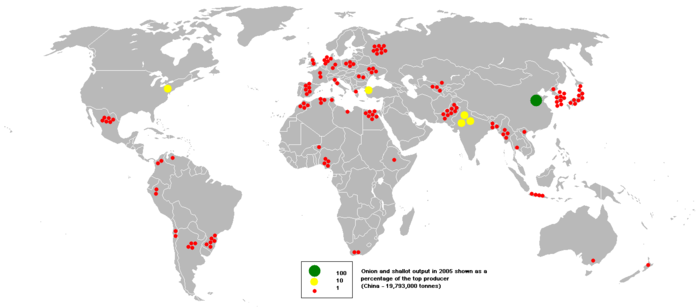 Główne obszary uprawy na świecie (2005) – wartości wyrażone jako procenty z produkcji największego producenta (Chiny – 19,793 mln ton).