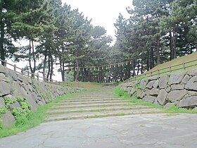 長崎街道・曲里の松並木