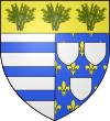 Blason