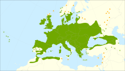 Distribución de Sambucus nigra.